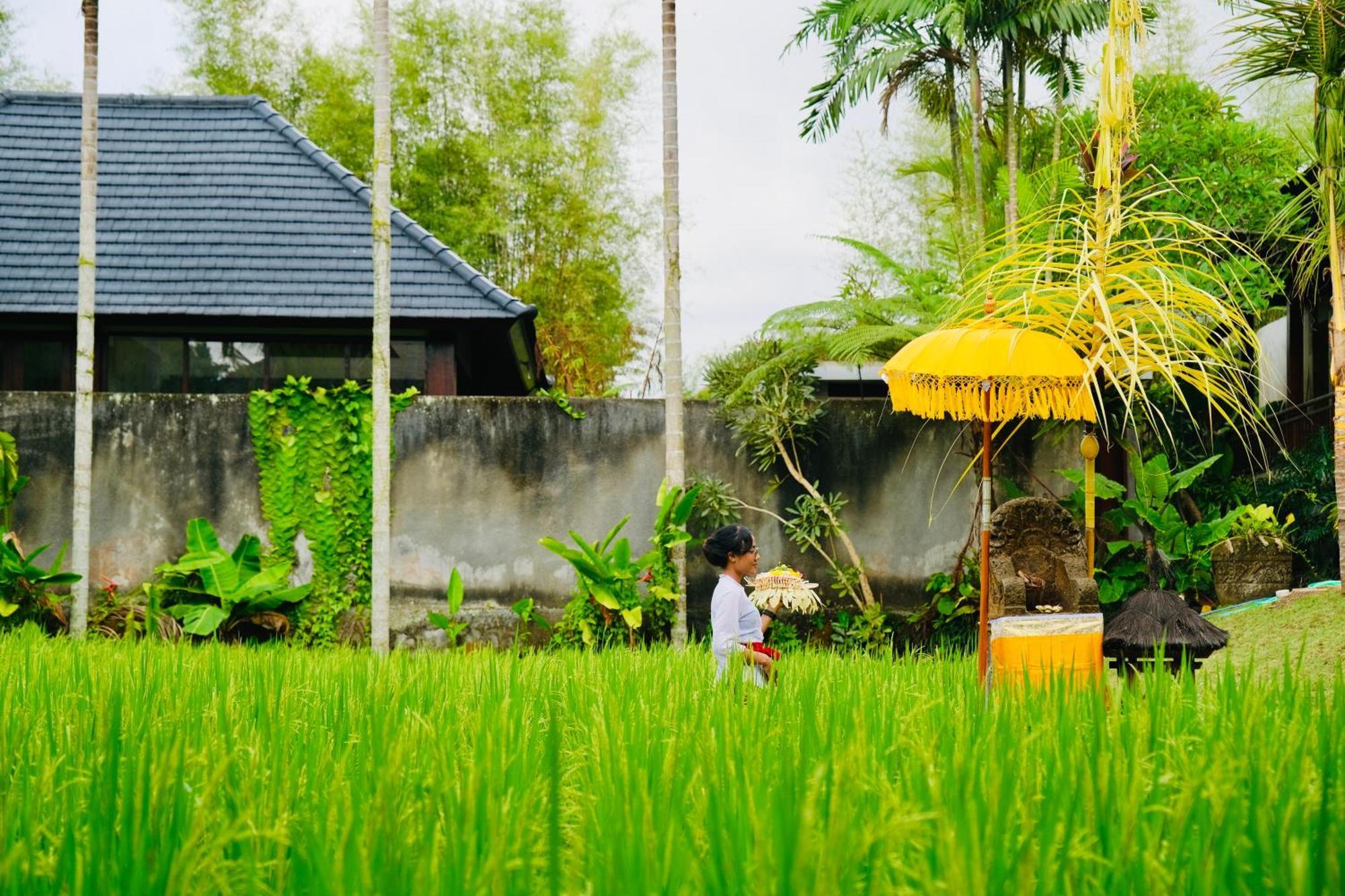 Wana Karsa The Villas Ubud Exterior foto
